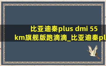 比亚迪秦plus dmi 55km旗舰版跑滴滴_比亚迪秦plus dmi 55km旗舰版跑顺风车